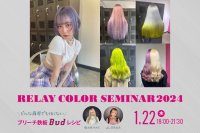 RELAY COLOR SEMINAR 2024 by Bud