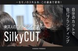 画像: Silky CUT seminar